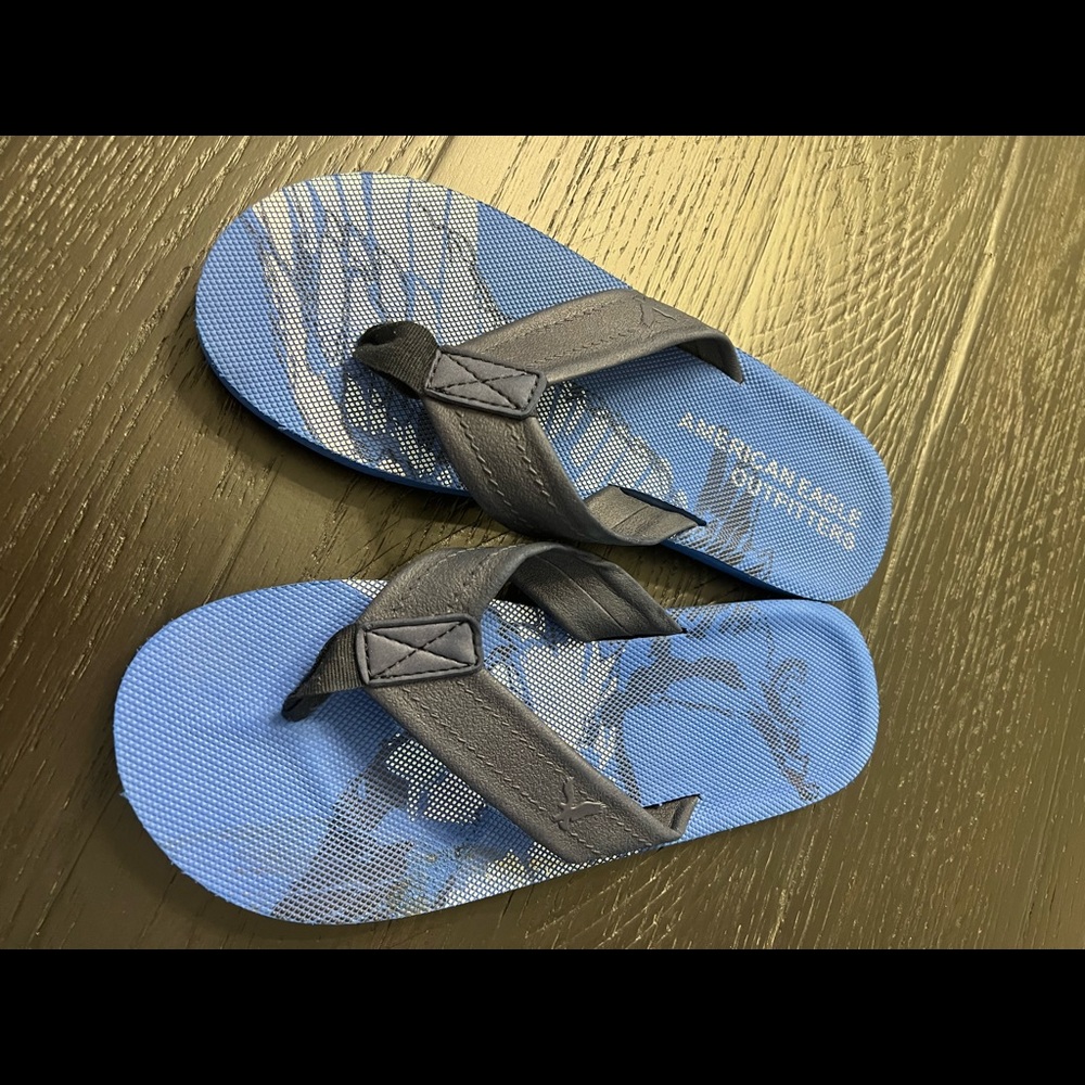 American Eagle Blue Flip Flops